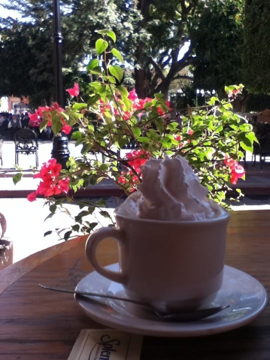 Imagen de portada del listado