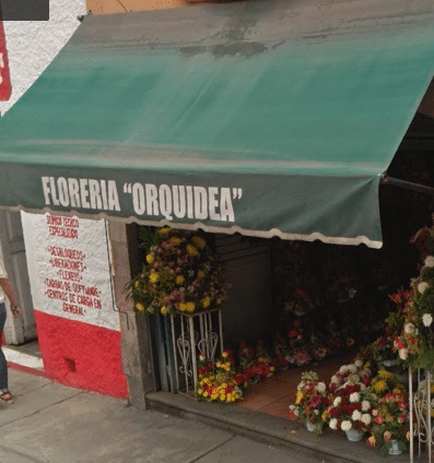 Imagen de portada del listado