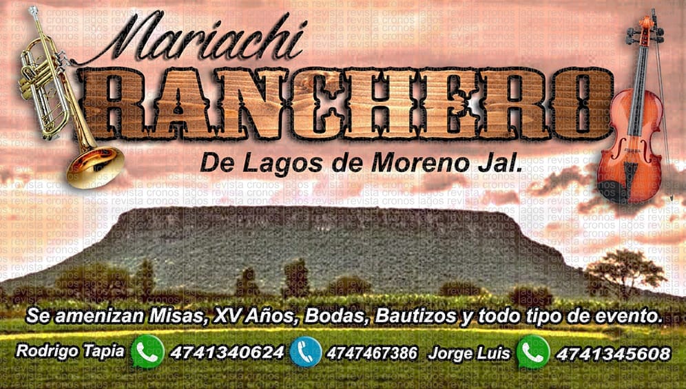 Imagen de portada del listado