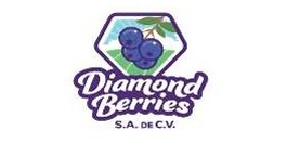 Imagen de portada del listado